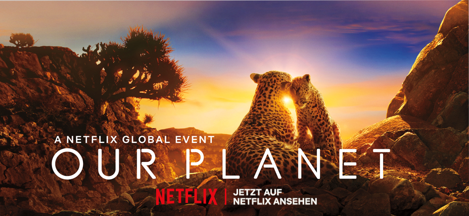 Netflix Anschluss Netflix Anschluss